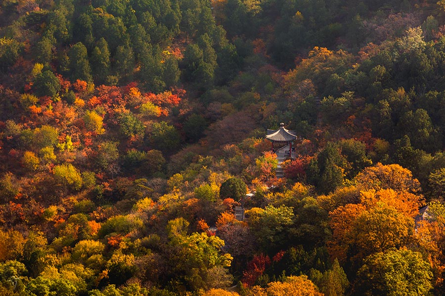 香山秋色全景